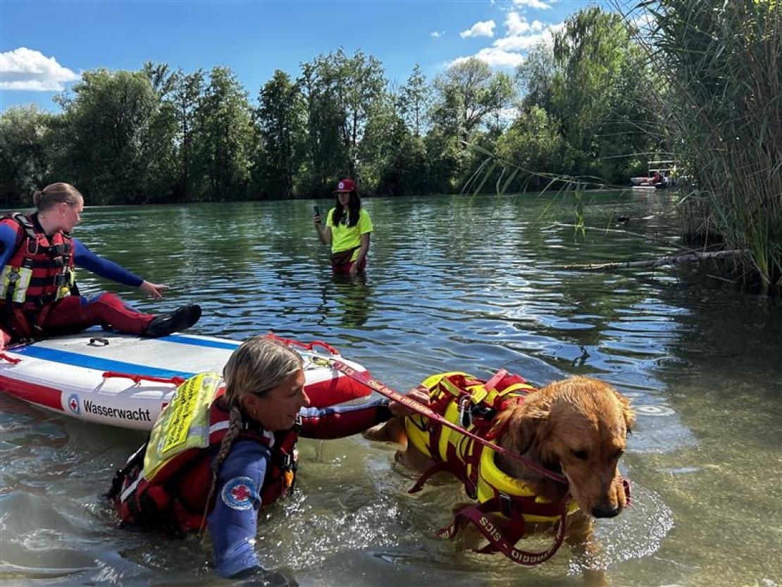 Jedermann Schwimmen 2025 