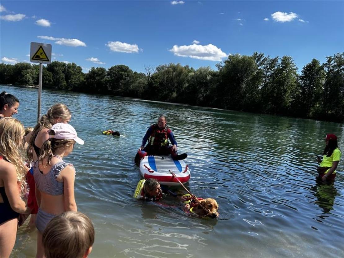 Jedermann Schwimmen 2025 