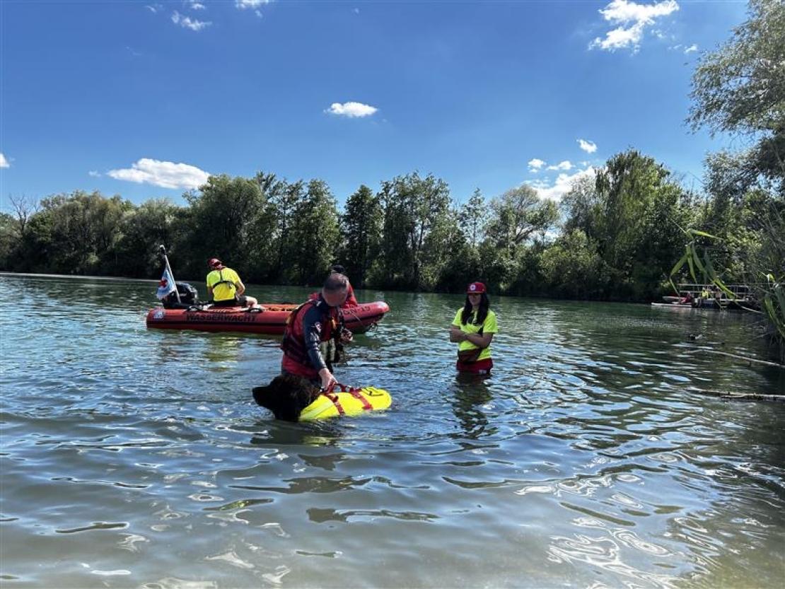 Jedermann Schwimmen 2025 