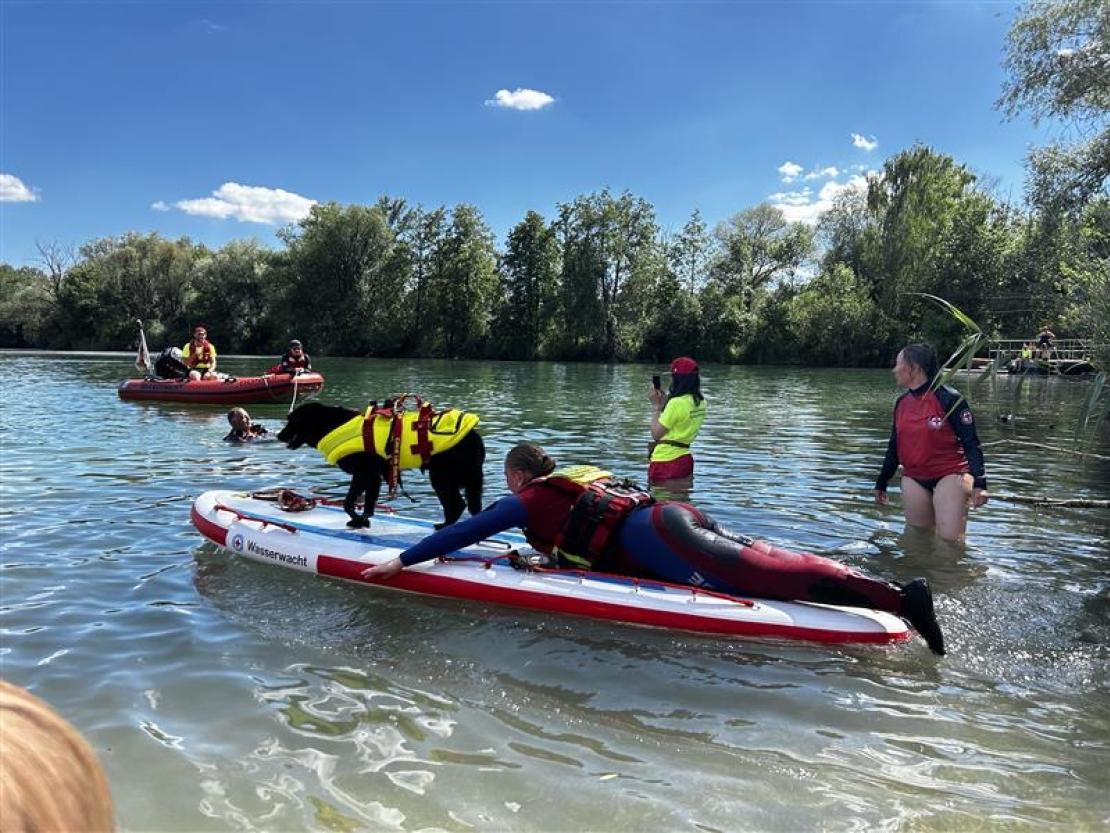 Jedermann Schwimmen 2025 