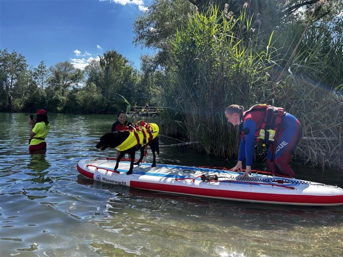 Jedermann Schwimmen 2025 