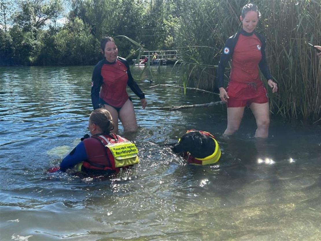 Jedermann Schwimmen 2025 