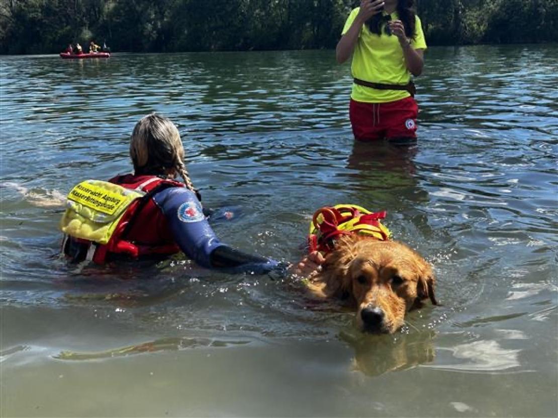 Jedermann Schwimmen 2025 