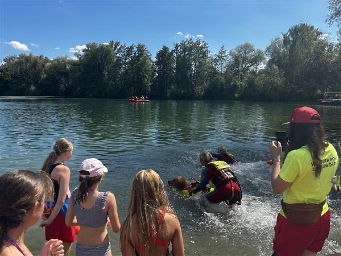 Jedermann Schwimmen 2025 