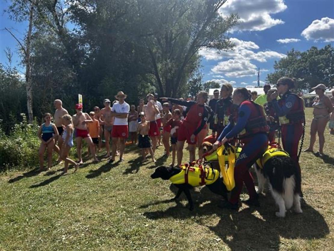 Jedermann Schwimmen 2025 