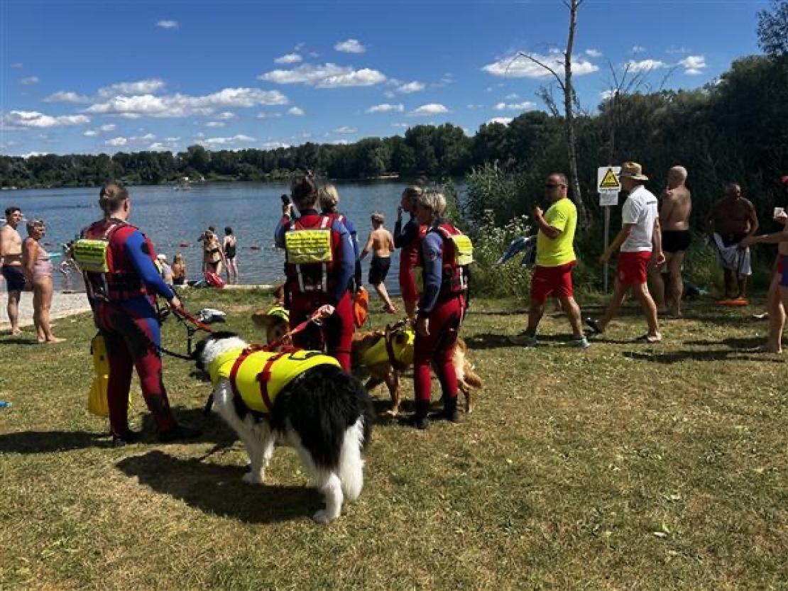 Jedermann Schwimmen 2025 