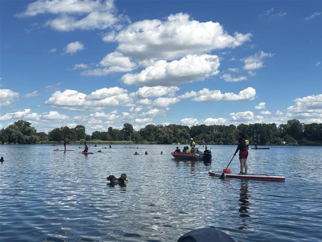 Jedermann Schwimmen 2025 