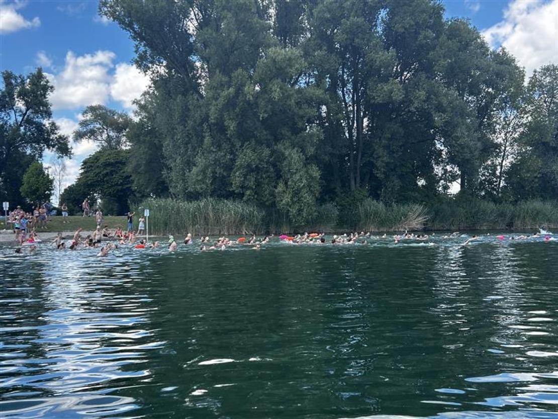 Jedermann Schwimmen 2025 
