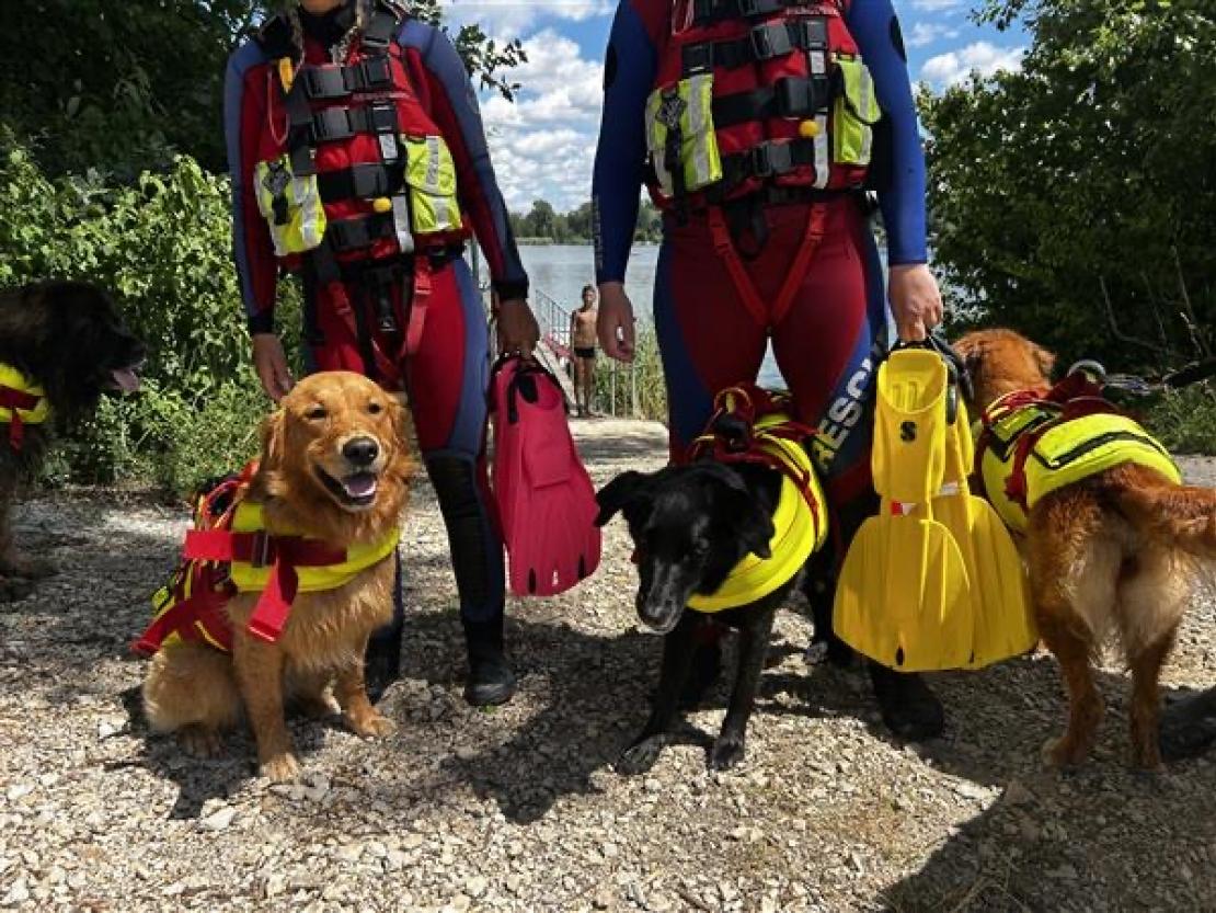 Jedermann Schwimmen 2025 