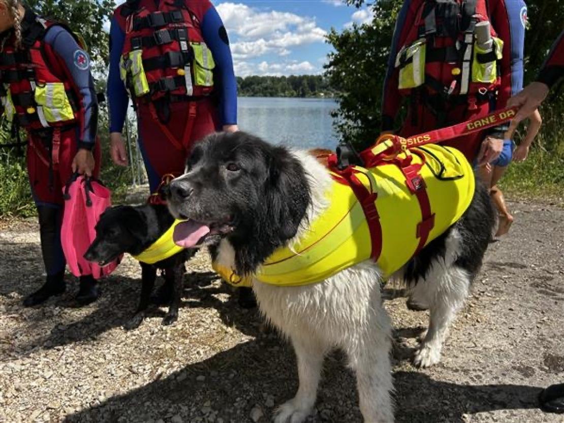 Jedermann Schwimmen 2025 