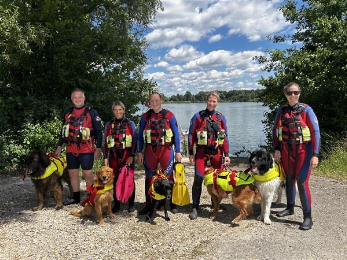 Jedermann Schwimmen 2025 