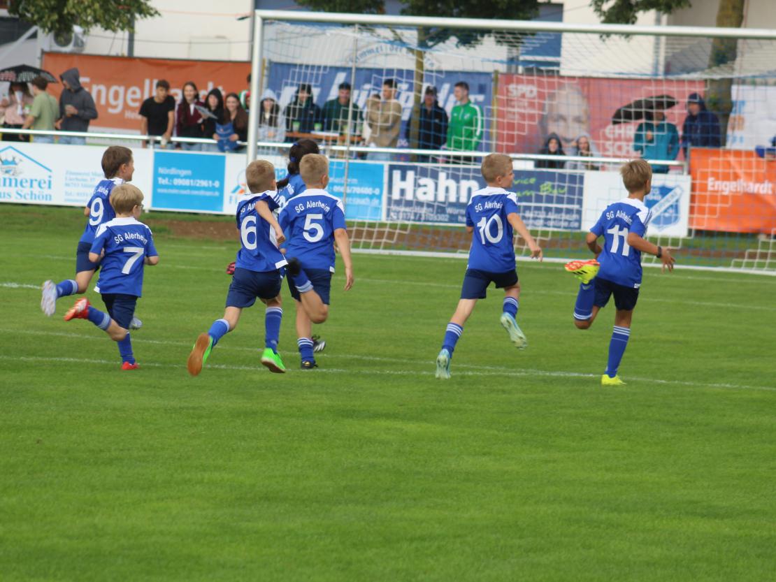 SG Alerheim Jahn Regensburg