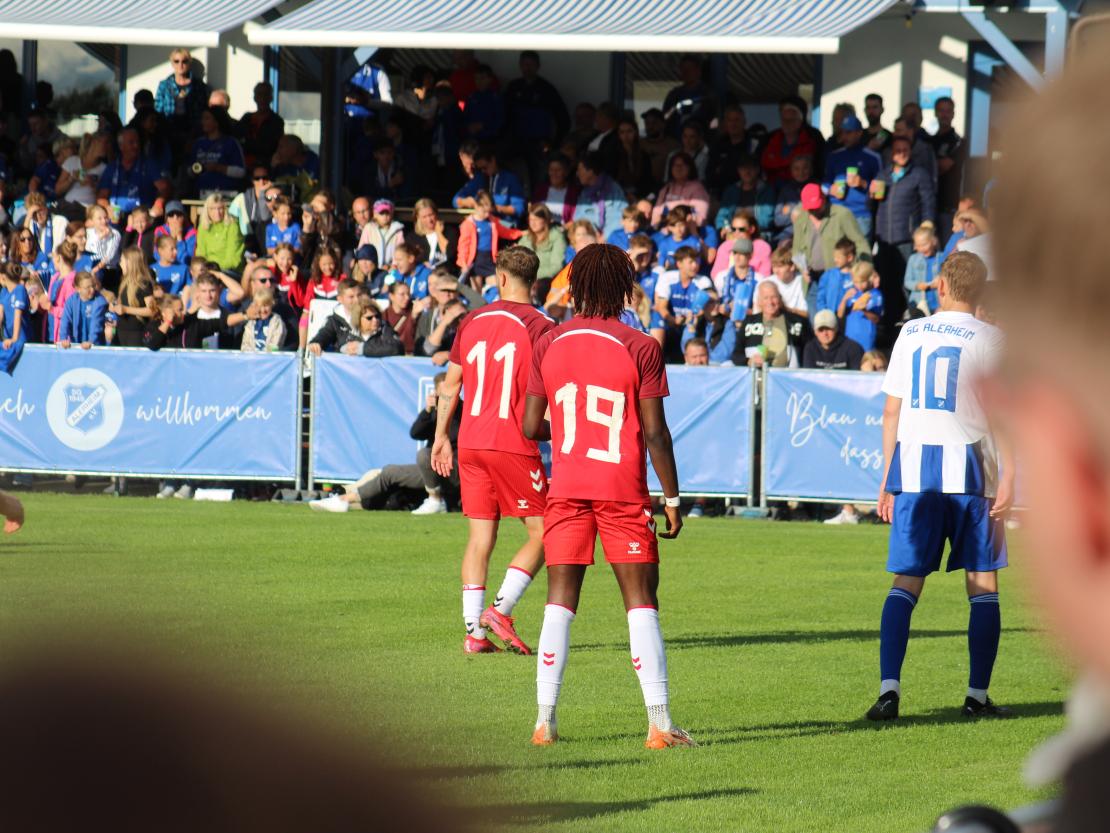 SG Alerheim Jahn Regensburg