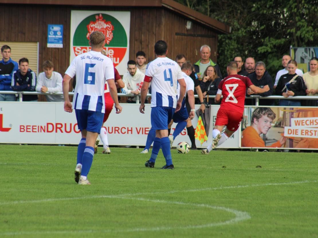 SG Alerheim Jahn Regensburg