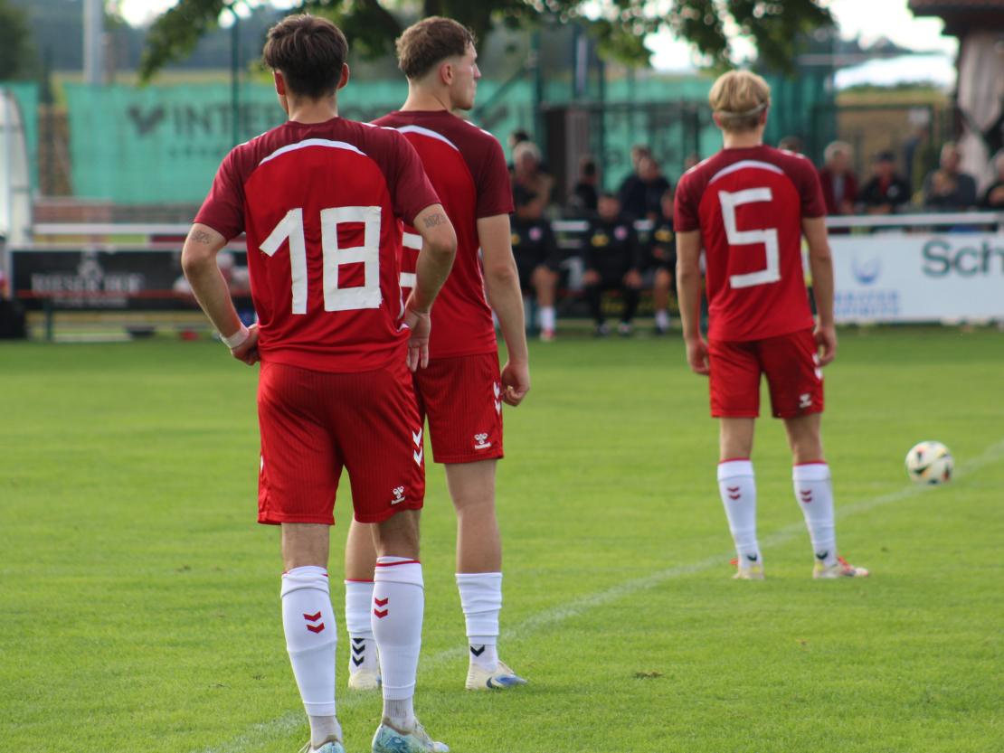 SG Alerheim Jahn Regensburg