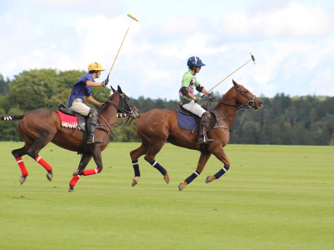 Polo Tagmersheim 2025