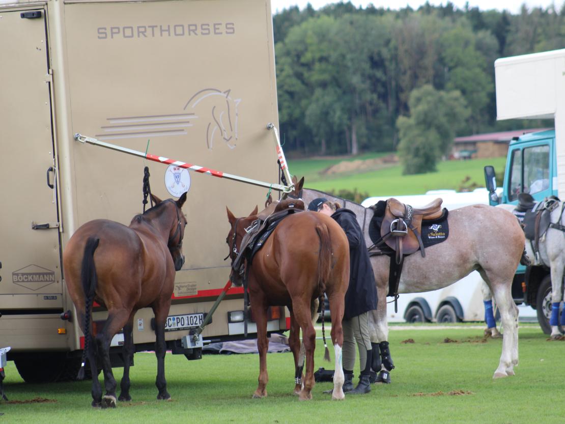 Polo Tagmersheim 2025