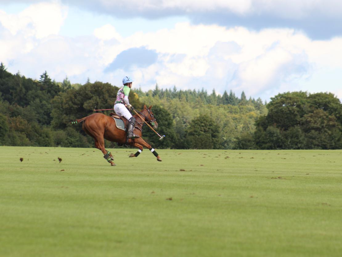 Polo Tagmersheim 2025