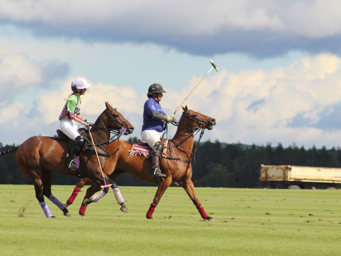 Polo Tagmersheim 2025