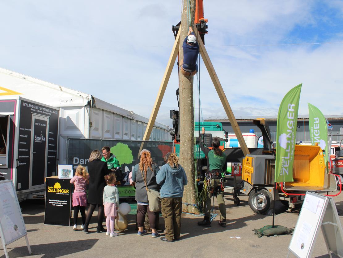 Donauries-Ausstellung 2025