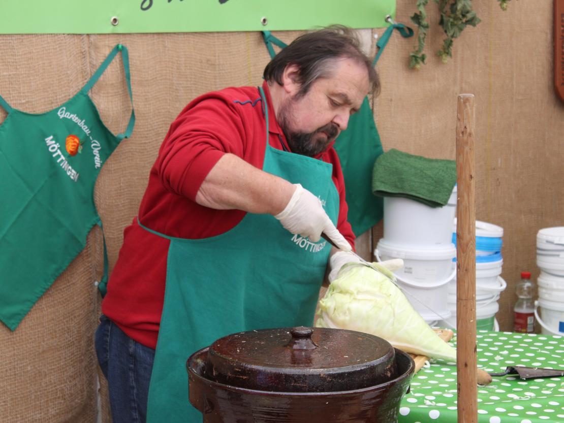 Donauries-Ausstellung 2025