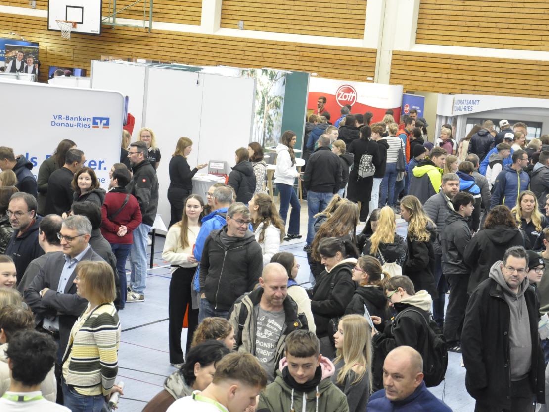 Berufswegekompass 2025