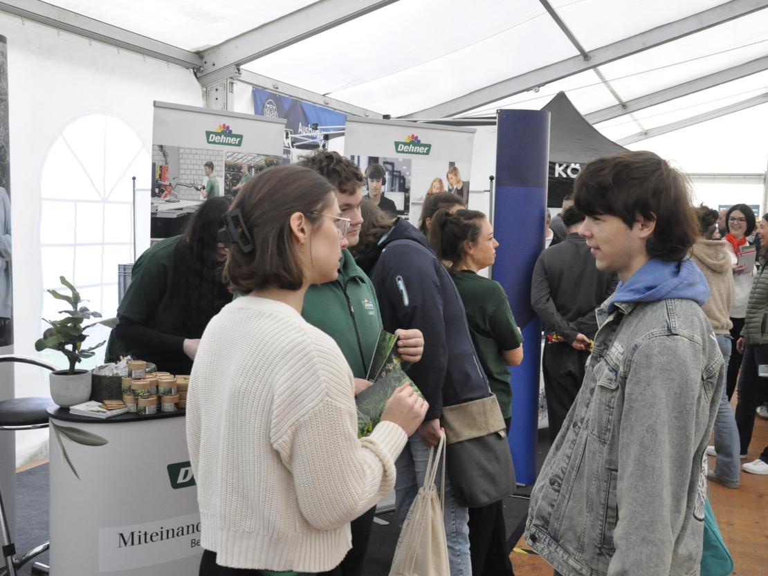 Berufswegekompass 2025