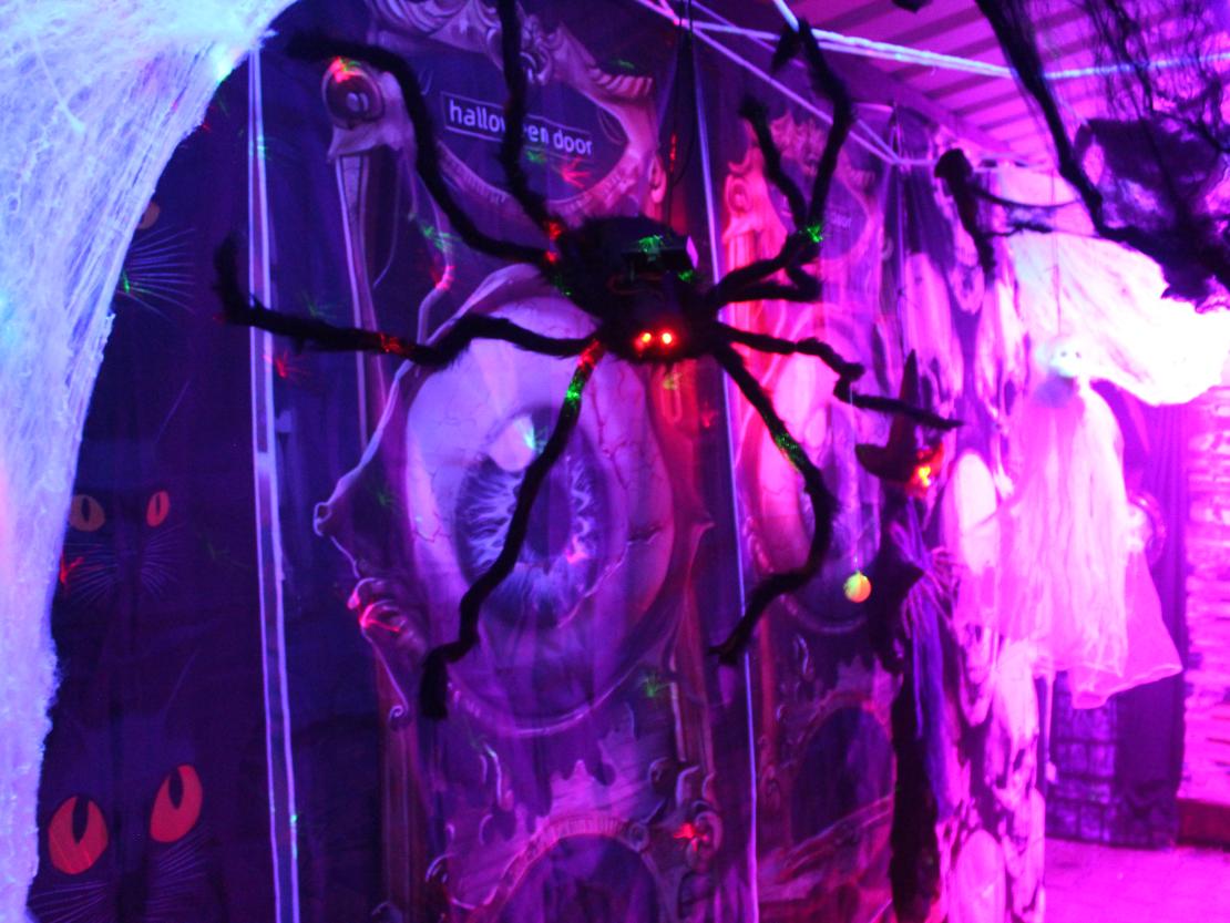 Halloween Amerdingen