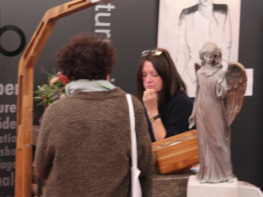 Donauries-Ausstellung 2025