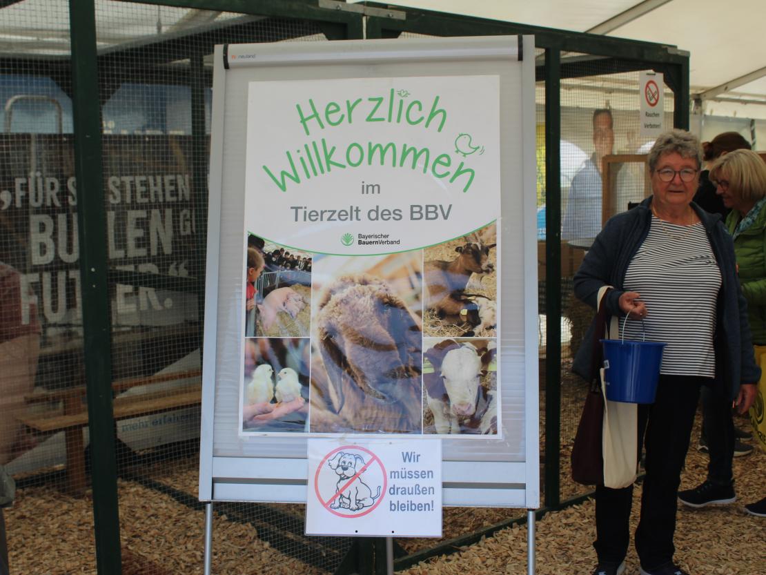 Donauries-Ausstellung 2025