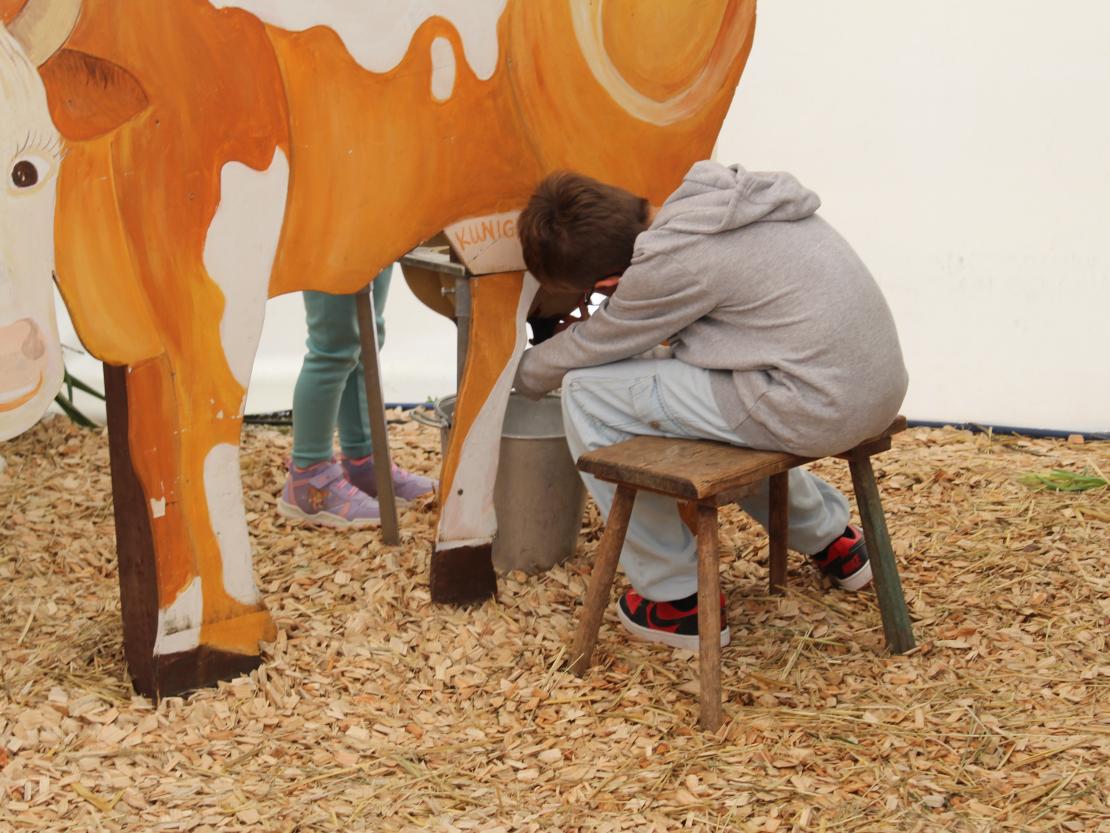 Donauries-Ausstellung 2025