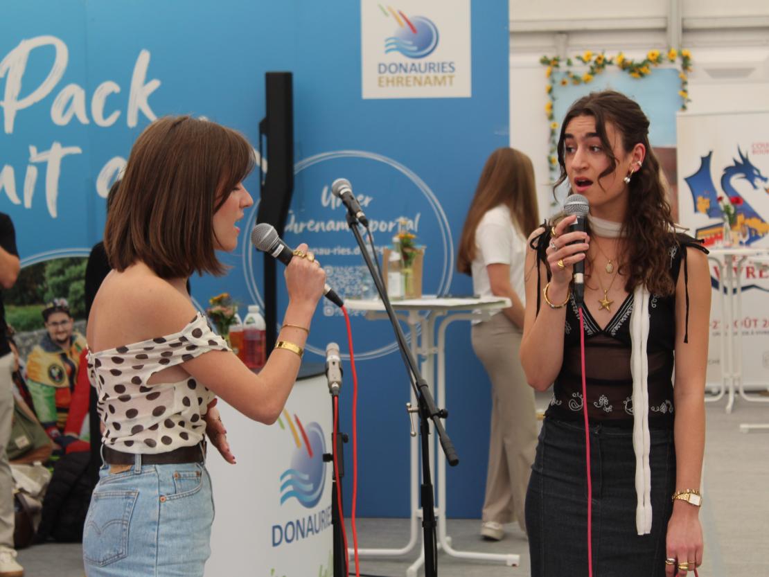 Donauries-Ausstellung 2025