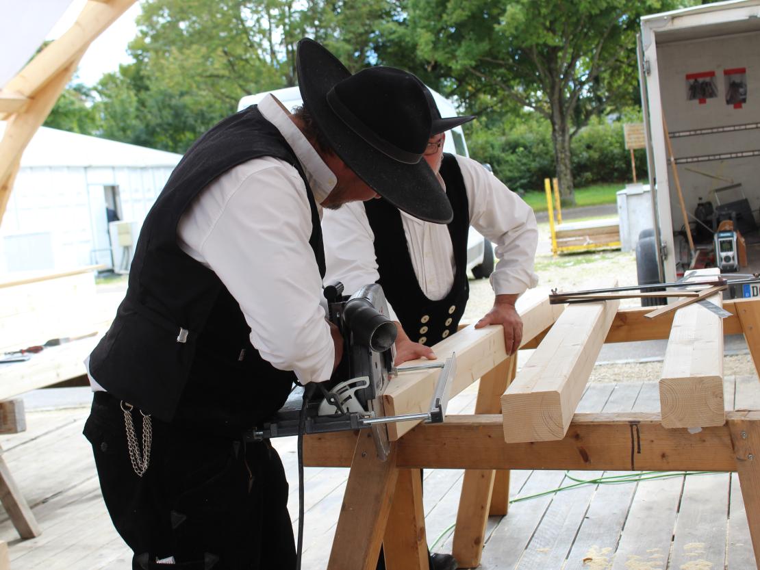 Donauries-Ausstellung 2025