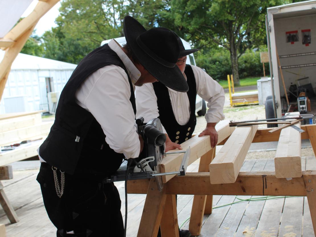 Donauries-Ausstellung 2025