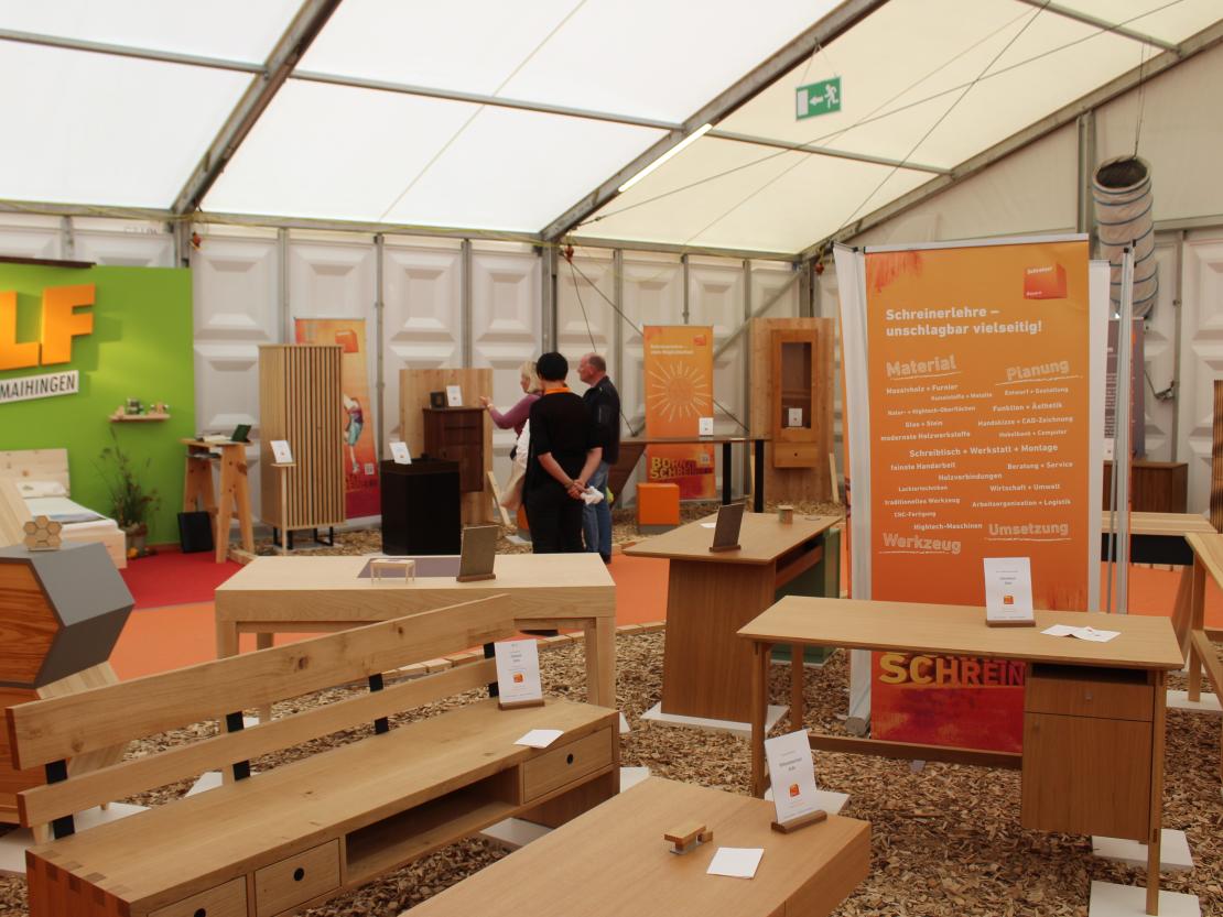 Donauries-Ausstellung 2025