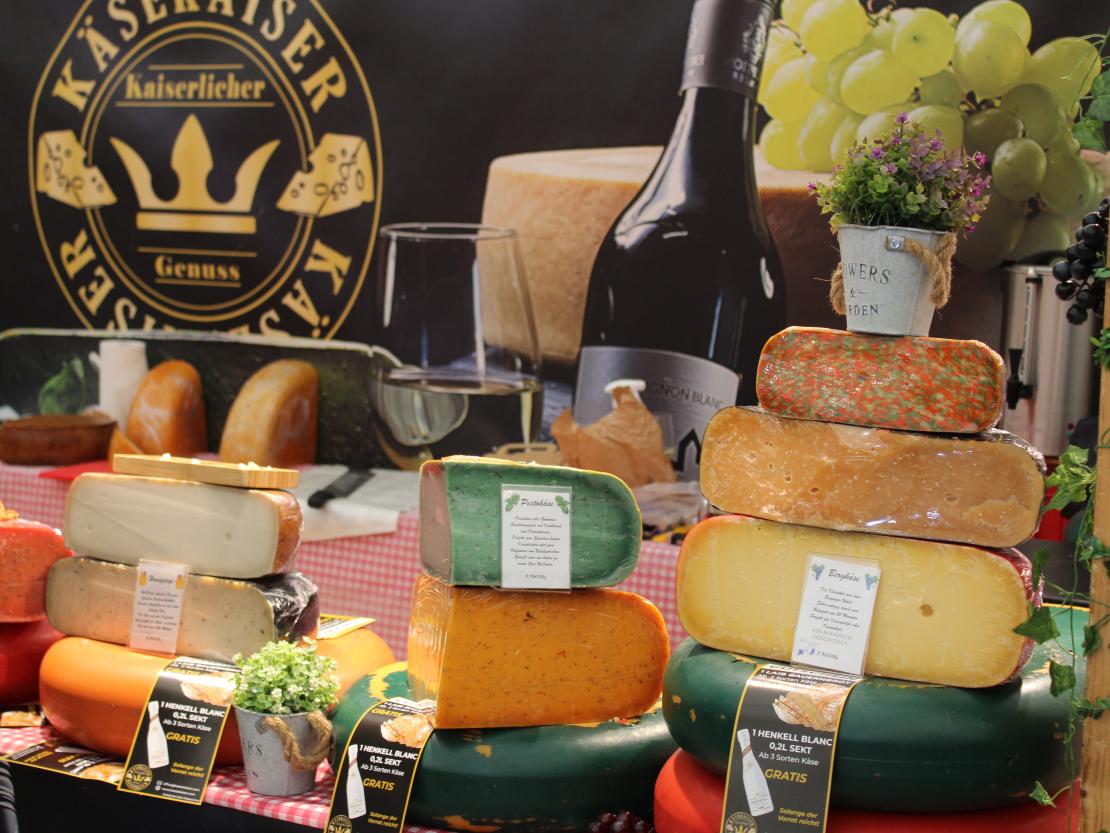 Donauries-Ausstellung 2025