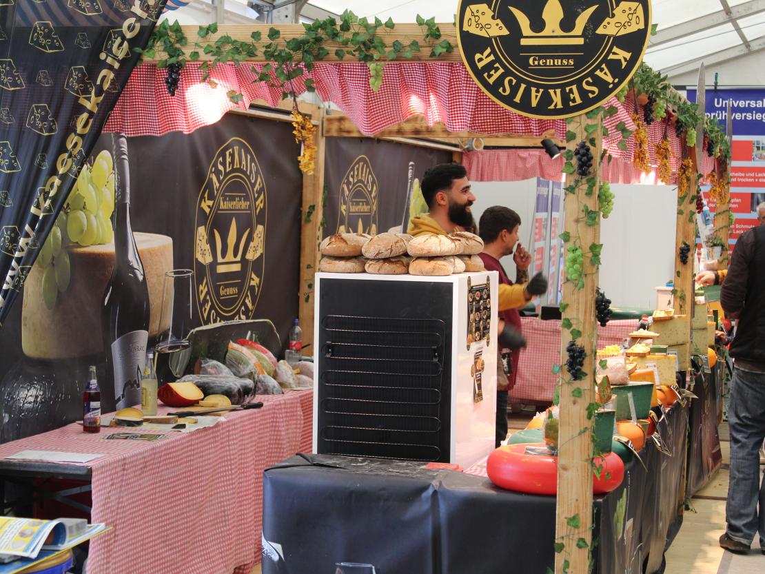 Donauries-Ausstellung 2025