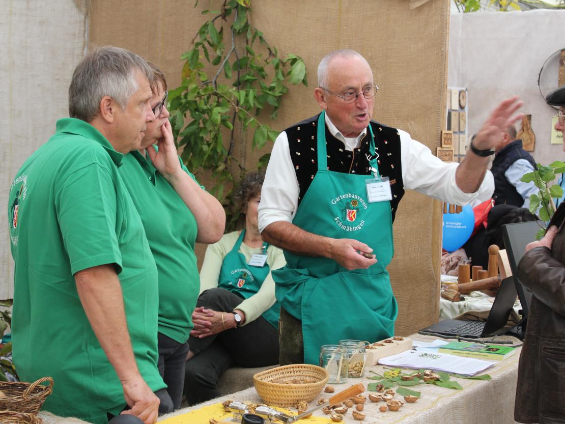 Donauries-Ausstellung 2025