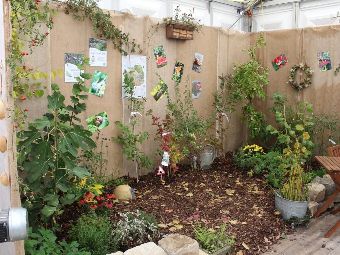 Donauries-Ausstellung 2025