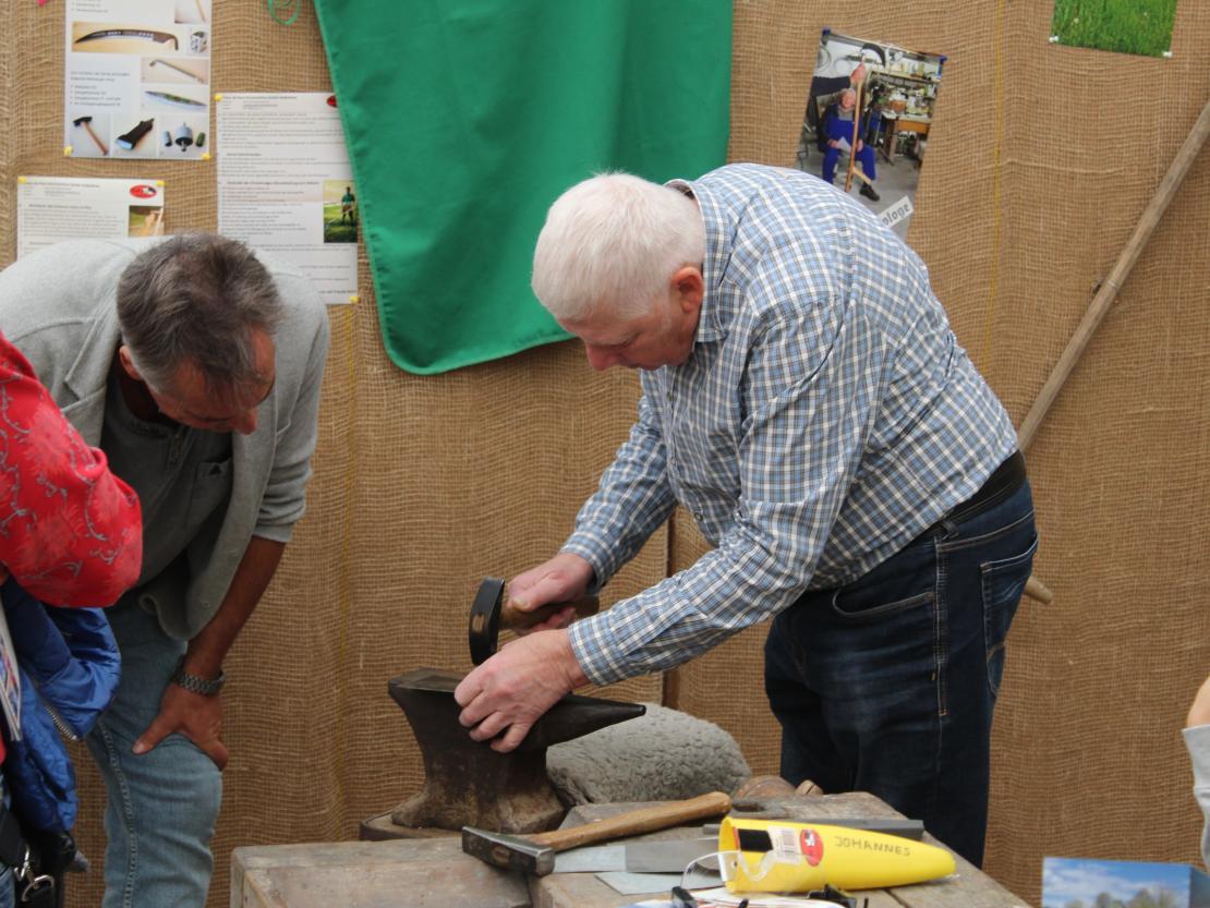 Donauries-Ausstellung 2025