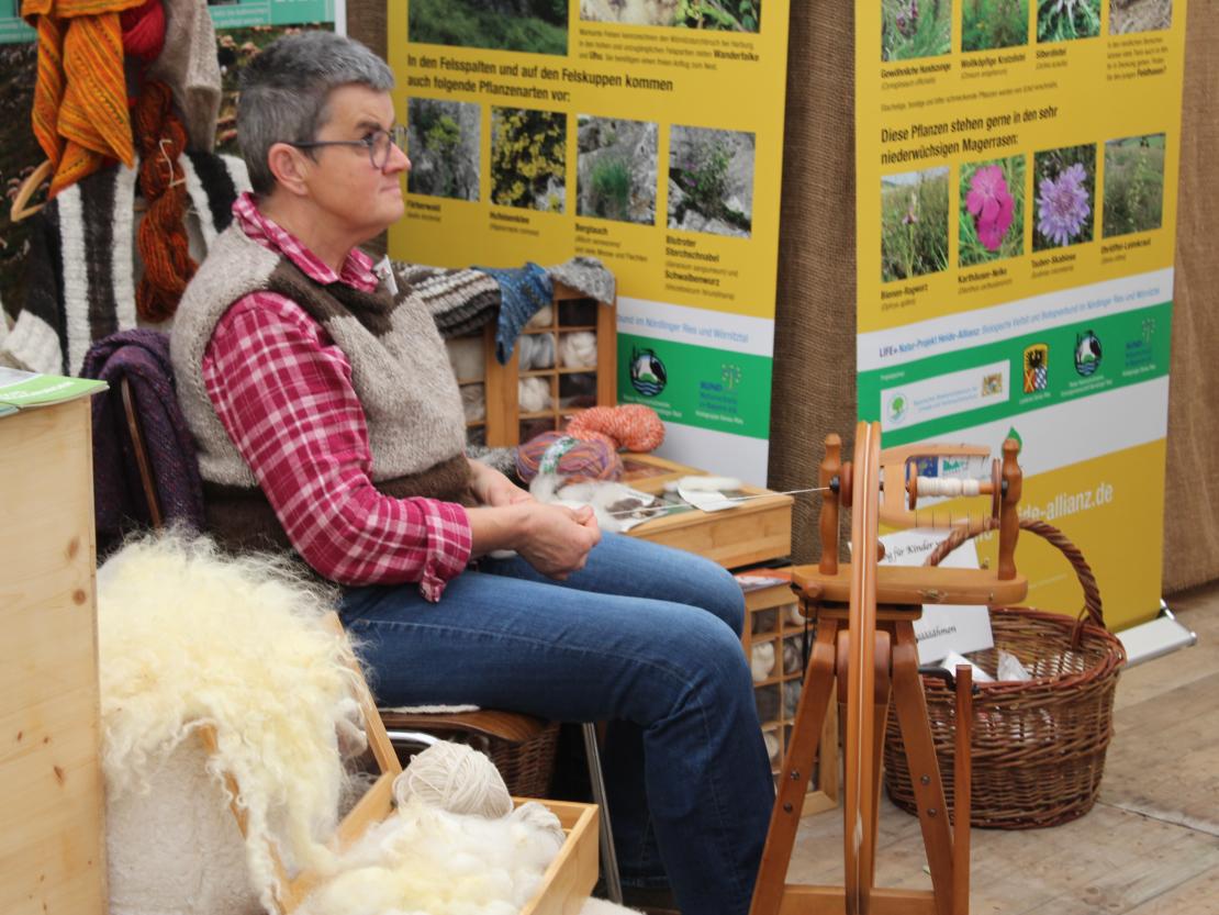 Donauries-Ausstellung 2025