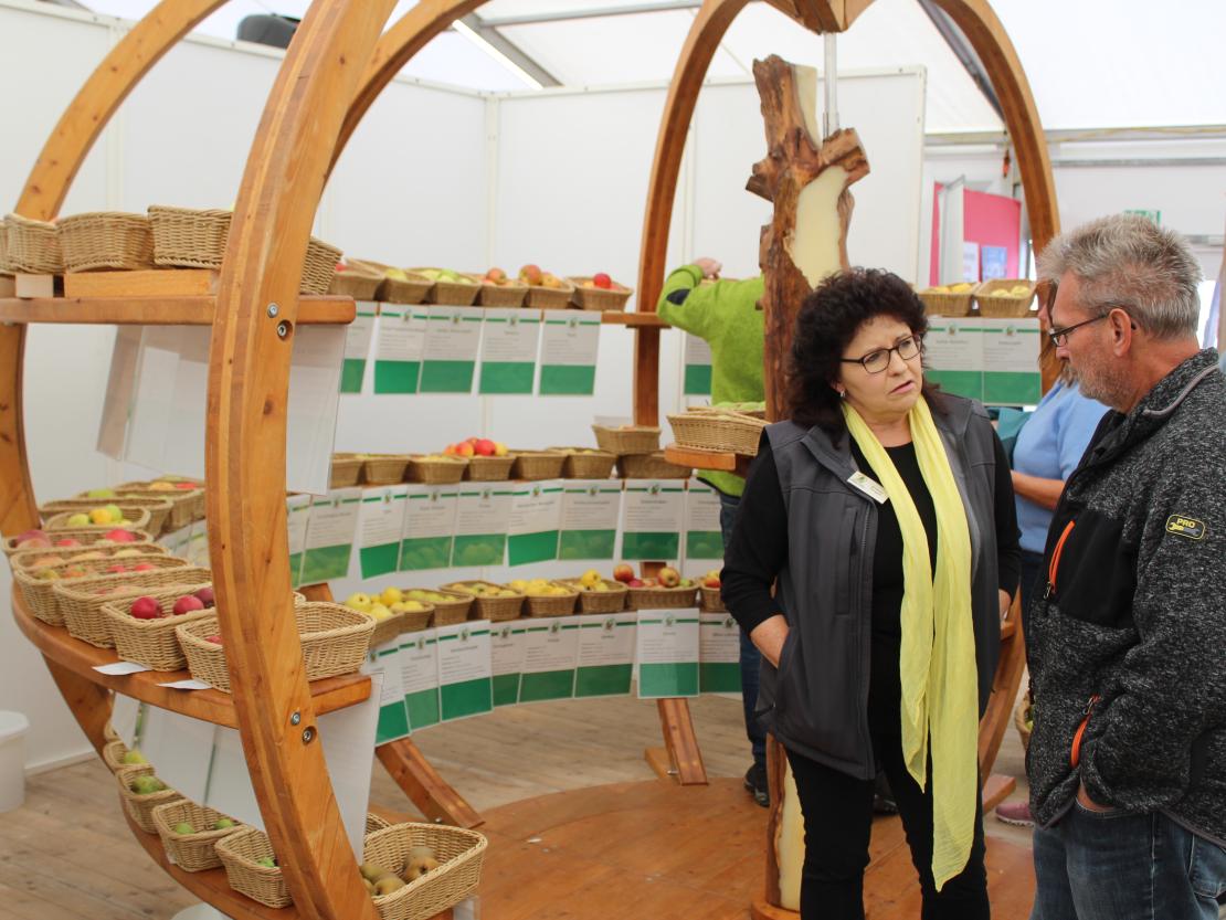 Donauries-Ausstellung 2025