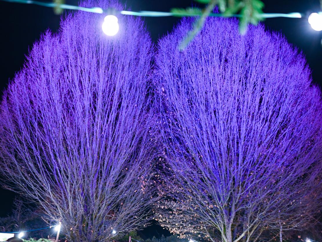 Christkindlesmarkt Oettingen 2025