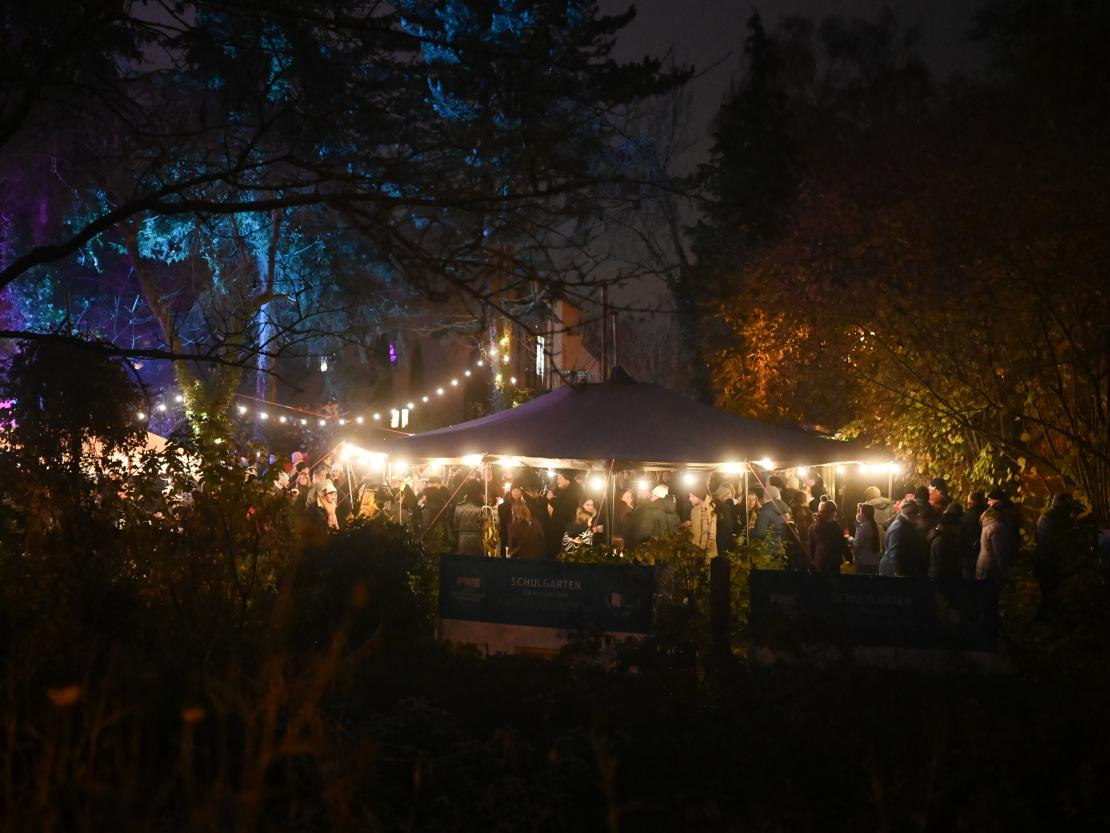 Kunst- und Lichternacht Donauwörth 2025