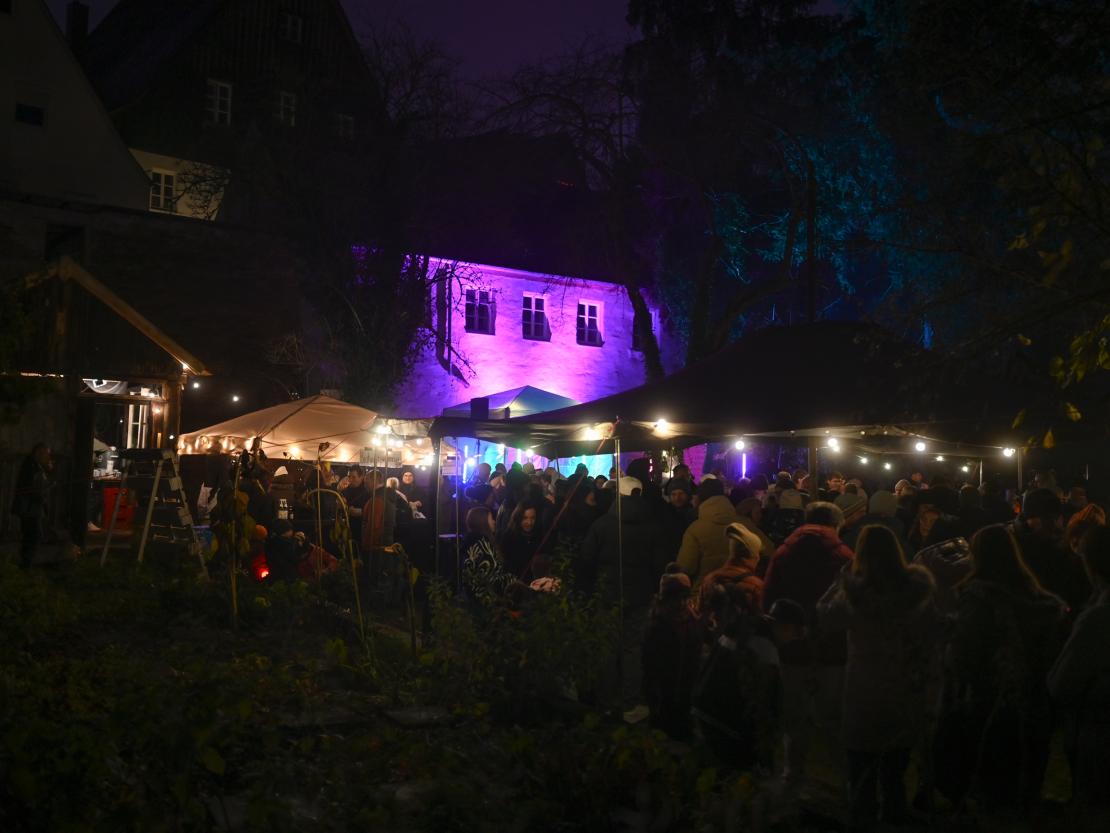 Kunst- und Lichternacht Donauwörth 2025