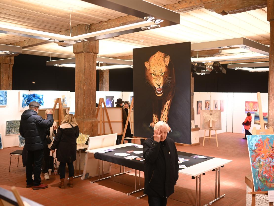 Kunst- und Lichternacht Donauwörth 2025