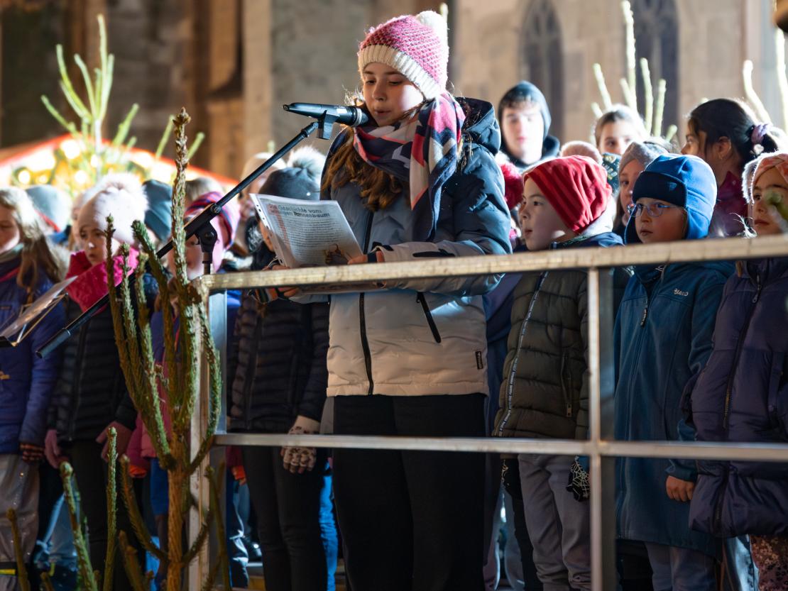 Weihnachtsmarkt Nördlingen 2025