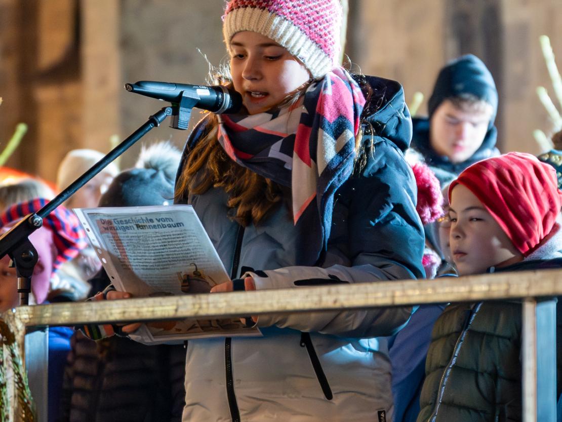 Weihnachtsmarkt Nördlingen 2025
