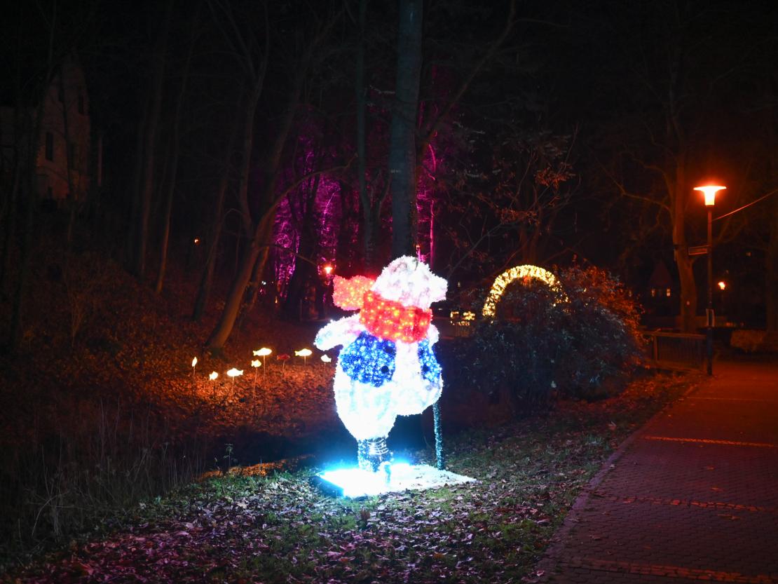 Donauwörth Plätzleweg 2025