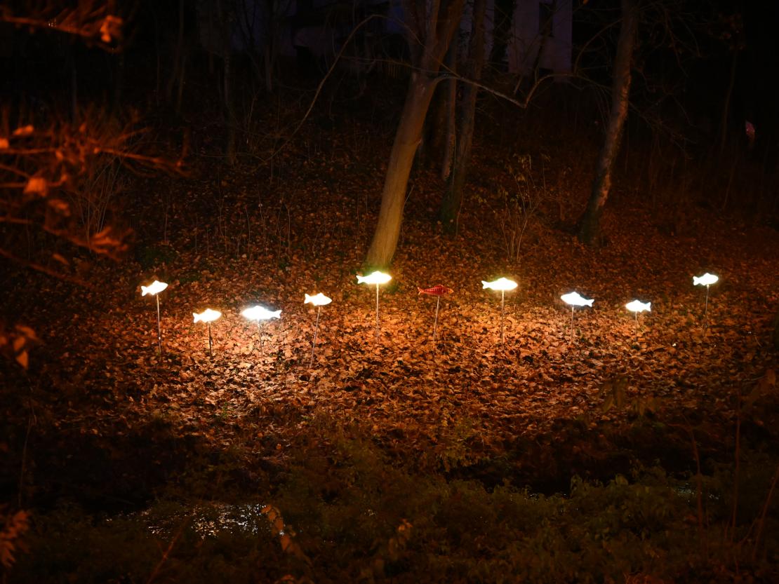 Donauwörth Plätzleweg 2025